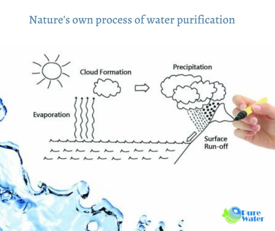 Nature's Water Purification