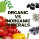 Organic vs Inorganic Minerals