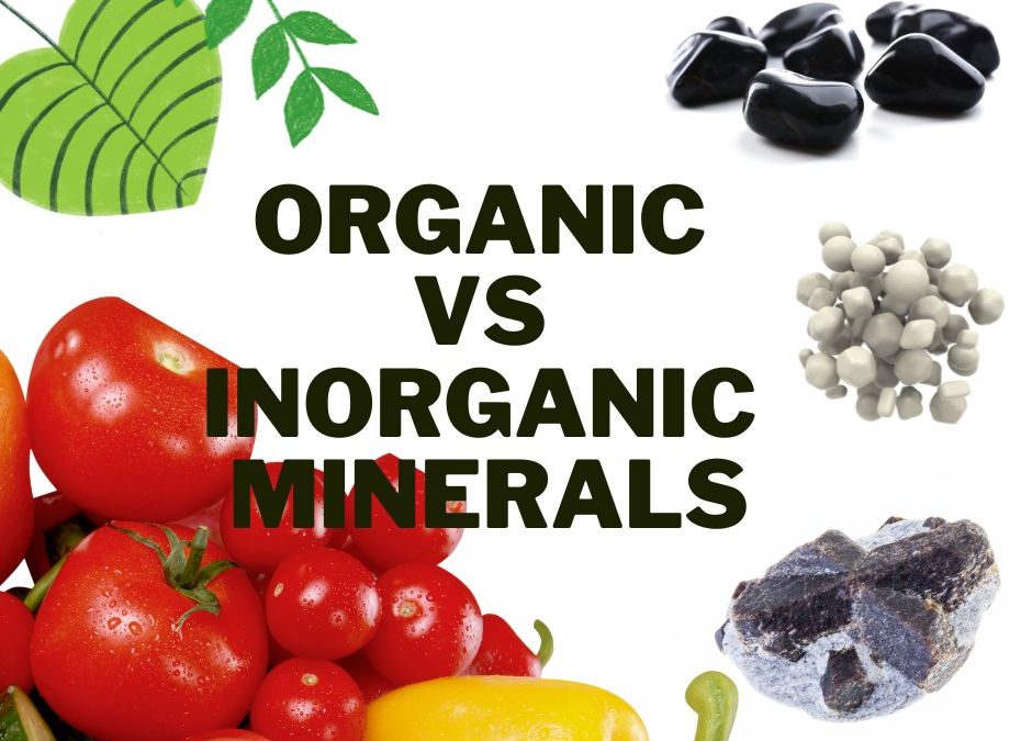 Organic vs Inorganic Minerals