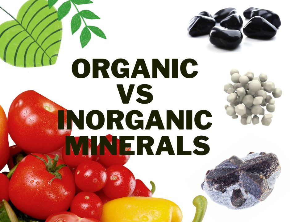 Organic vs Inorganic Minerals