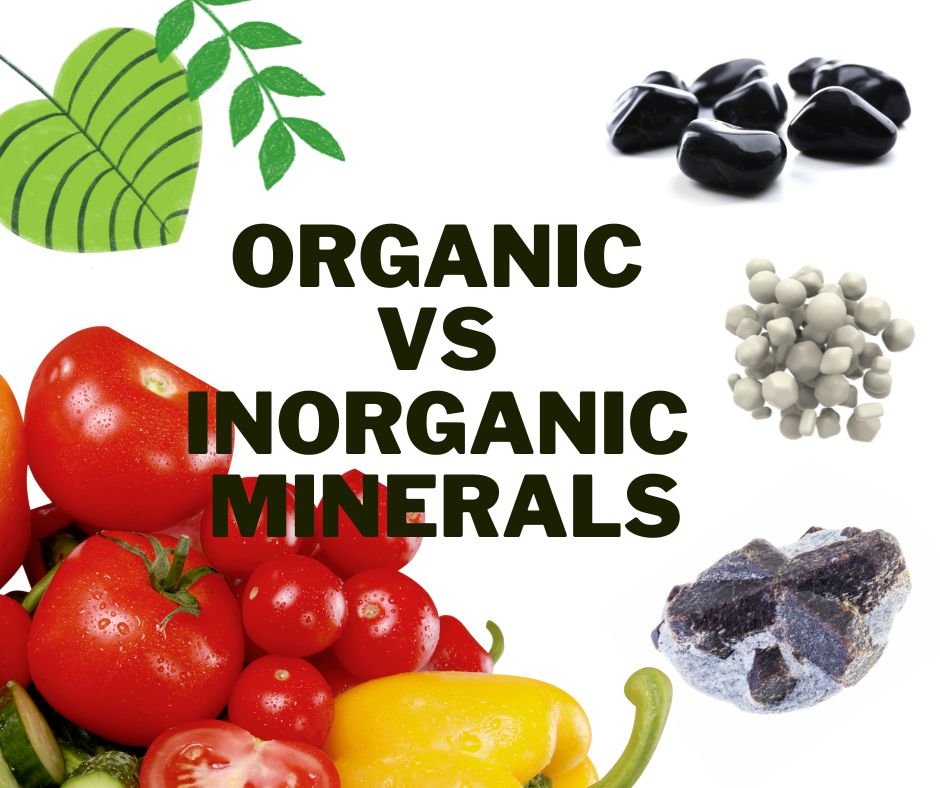 Organic vs Inorganic Minerals
