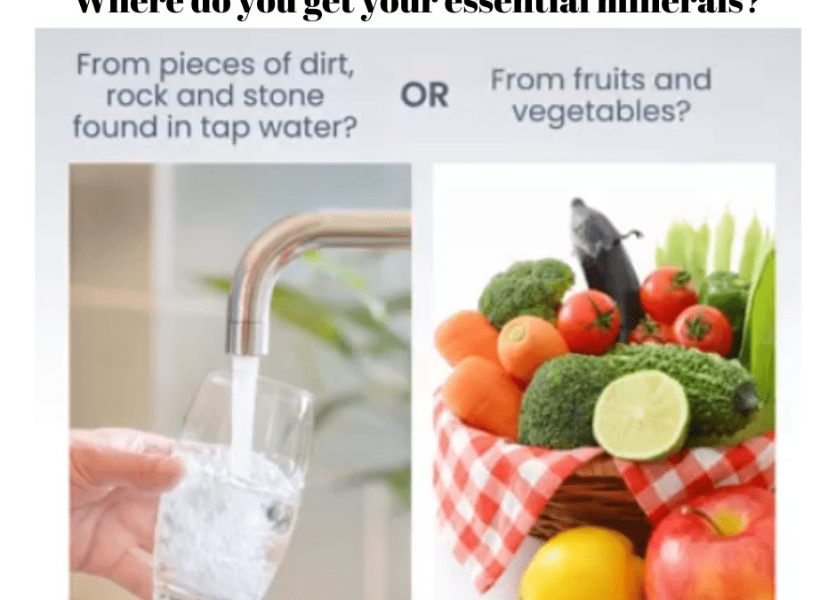 Minerals from water or food