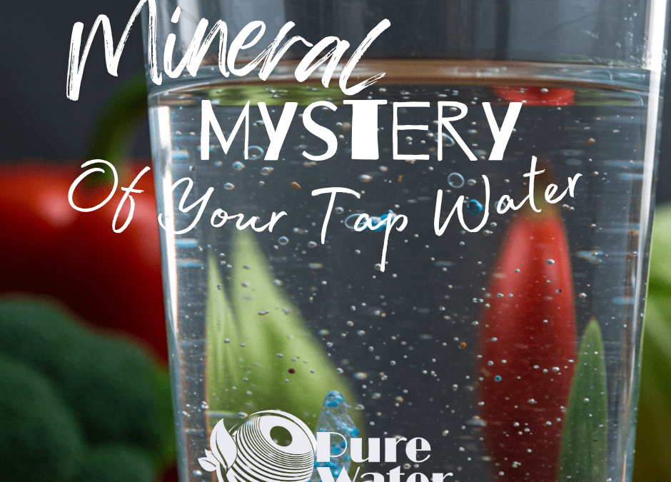 Mineral Mystery of tap water
